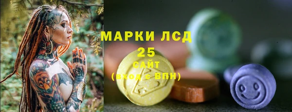 ГАЛЛЮЦИНОГЕННЫЕ ГРИБЫ Вязьма