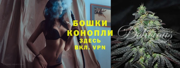 ГАЛЛЮЦИНОГЕННЫЕ ГРИБЫ Вязьма