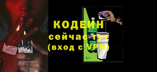 ГАЛЛЮЦИНОГЕННЫЕ ГРИБЫ Вязьма