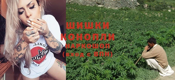 ГАЛЛЮЦИНОГЕННЫЕ ГРИБЫ Вязьма