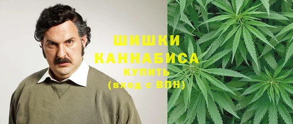 ГАЛЛЮЦИНОГЕННЫЕ ГРИБЫ Вязьма