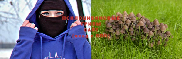 марихуана Вязники